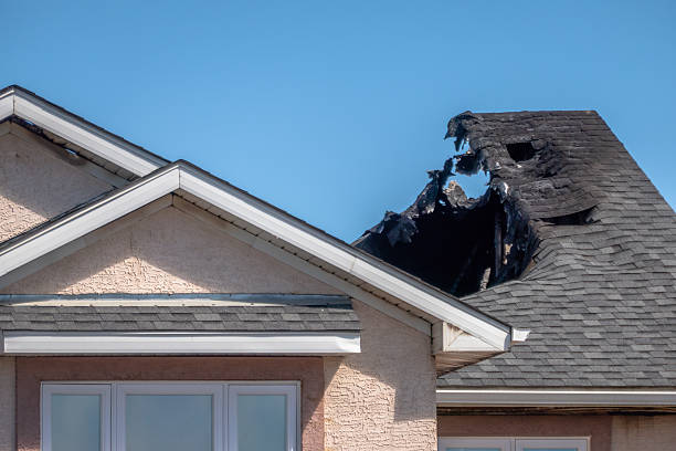 Top rated local Fire Damage Removal specialists in Englewood, NJ